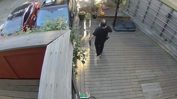 Tesla slaat op hol en crasht vol in de auto van de buurman