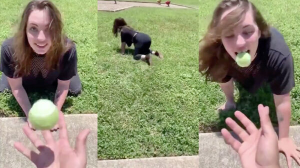 Gezellig met je vriendin naar het park om een balletje te gooien