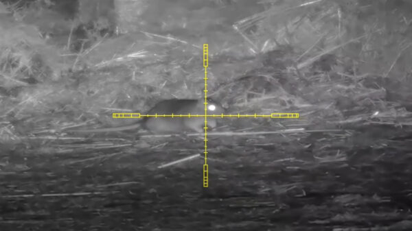 Rattenverdelger blijkt tevens verdomd accurate sniper te zijn