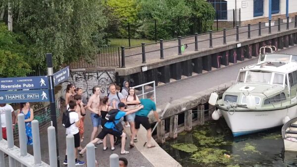 Protip: bemoei je nooit met ruziënde zwanen