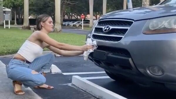 Schuldbewuste dame redt vogel van een pijnlijke dood