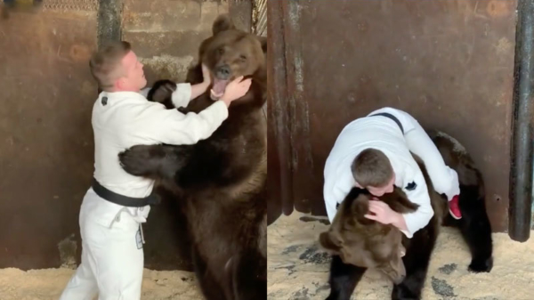 Alleen in Rusland: potje judoën met een bruine beer