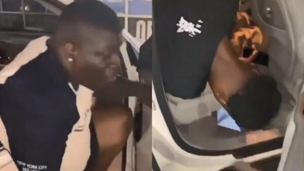 Bob probeert zijn lamme vrienden veilig thuis te brengen