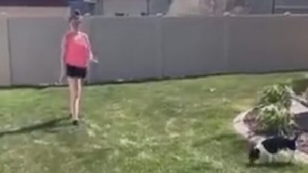 "Wedden dat jij geen handstand kunt maken!"