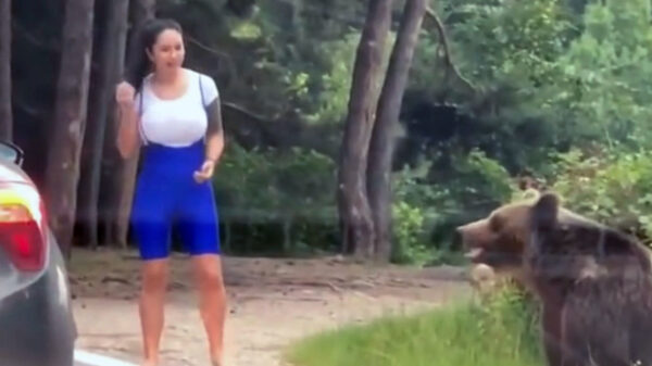 Dit Roemeens fotomomentje met een beer werd haar bijna fataal