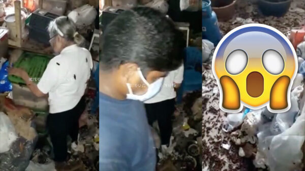 Huis van vrouw overlopen door 100 miljoenmiljard kakkerlakken