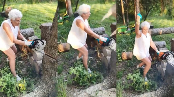 Koelbloedige oma met kettingzaag wordt net niet onthoofd