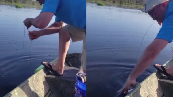 Enthousiaste visser wordt gecatfished door een catfish