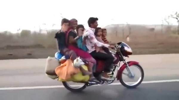 Deze compilatie laat maar weer eens zien dat er in India geen verkeersregels zijn