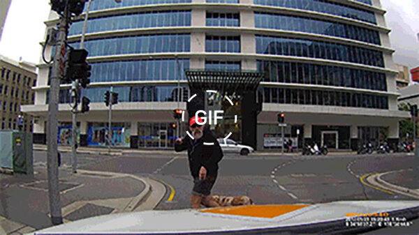 Gifdump: 27 figuren die al vrij snel spijt krijgen van hun acties