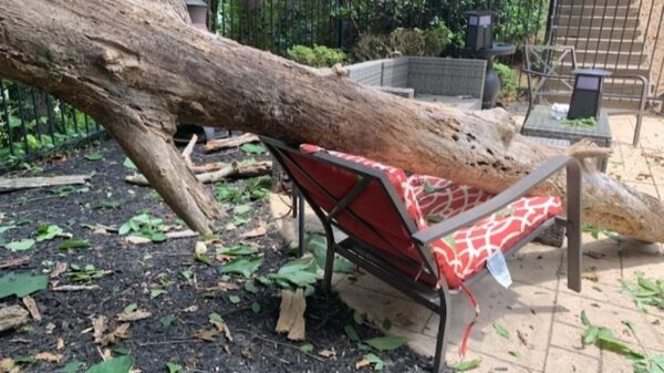 Zonnende moeder wordt dankzij haar snelle reactie nét niet geplet