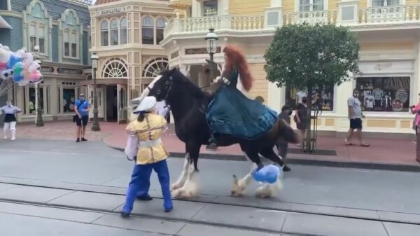 Disneypaard schrikt zich het apezuur van een ballon