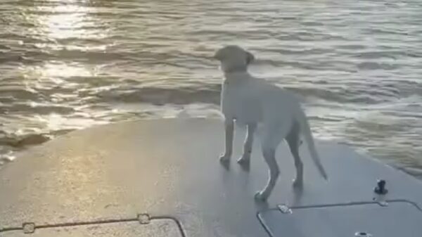 Een stukje varen met een schitterend uitzicht