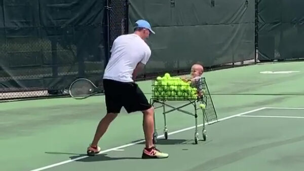 Met een kleine koter in je buurt heb je geen ballenmachine meer nodig