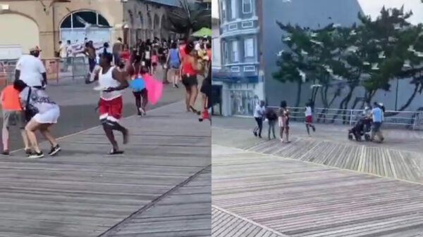 Als meeuwen echt honger hebben moet je rennen voor je leven