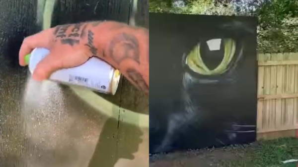 Graffiti-artiest maakt indrukwekkend eerbetoon aan zijn overleden kat