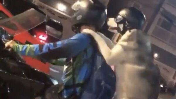 Echte vrienden gaan gewoon samen op de motor