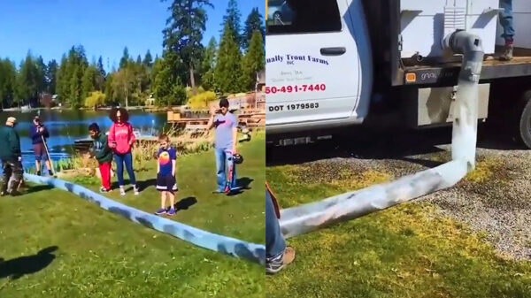 Op deze manier worden kunstmatige meren aangevuld met vis