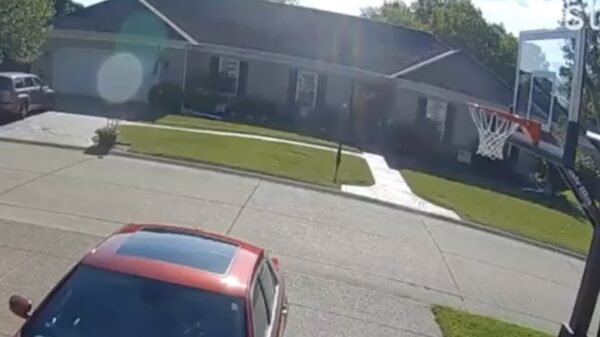 Vogel maakt een zieke driepunter