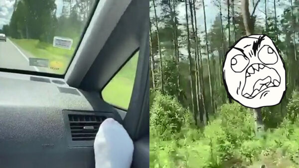 Natuurliefhebber gespot door een toevallig passerende reiziger