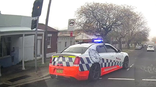 Een hele lading verkeershufters die het fenomeen Instant Karma leren kennen