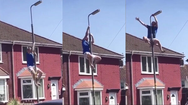 Lantaarnpaalklimmer krijgt spijt als hij indruk probeert te maken op de dames