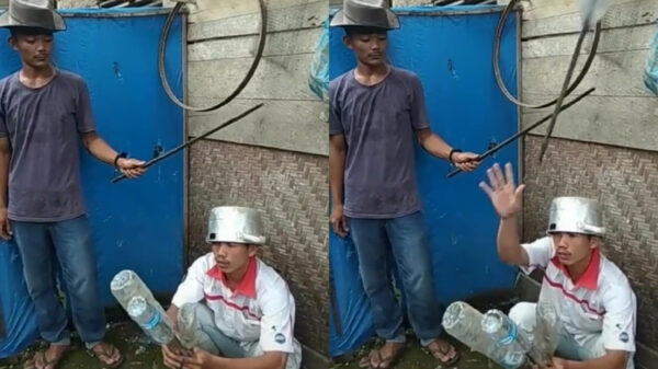 Met dit milieuvriendelijke vuurwerk houd je je buren te vriend