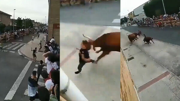 Whut: heb je ooit iemand met meer geluk gezien tijdens een stierenrennen?