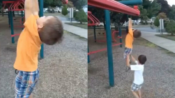 Broertjes zijn er altijd om je rug te hebben!