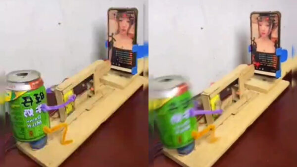 Zo werkt een likebot