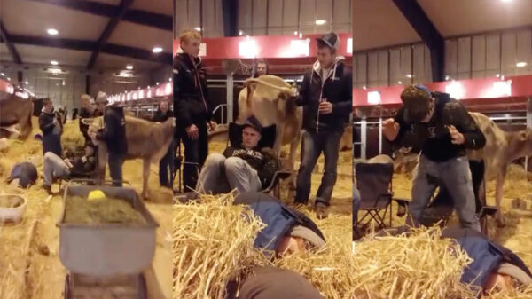 Tip van de dag: val op een boerderij nooit in slaap