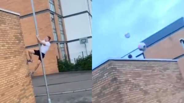 Palenklimmer blijkt ware ballenvanger van Hamelen te zijn