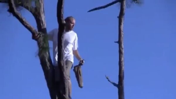 "Jullie zagen die boom toch niet om, want ik blij er gewoon in zitten!"