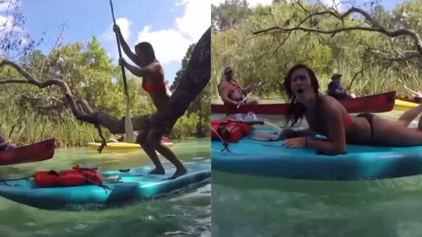 Sup-chick vs overhangende tak