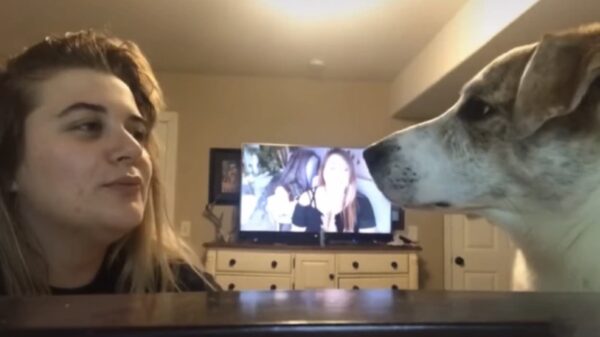 Hey, hou eens op met mij nadoen