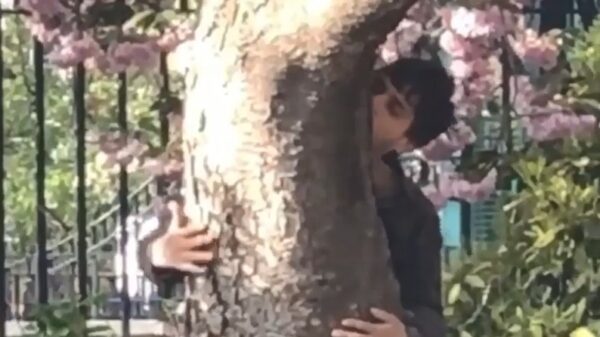 Boomknuffelaar leeft zich uit in het park