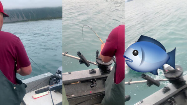 Hoe een ontspannen middagje vissen toch nog bijzonder spannend werd