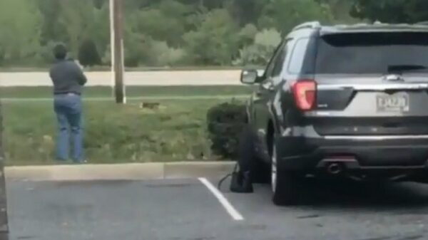 Vrouwelijke ﻿Ron Brandsteder vindt het erg grappig