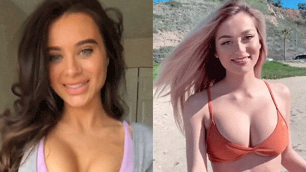 Deze bende stuitergifs bouncet weer dolgelukkig je beeldscherm af