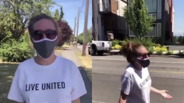 Als je het niet van Karen kunt winnen trek je gewoon de racismekaart