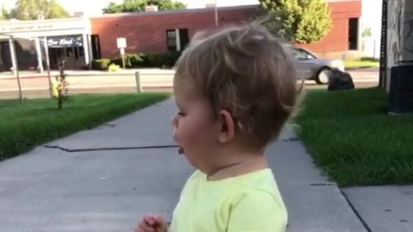 Knalerwten hebben er nog nooit zo cool uitgezien