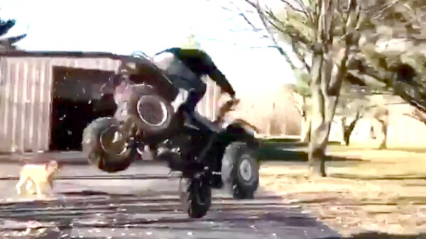 Quadrijder lanceert zich vol gas over het grasveld