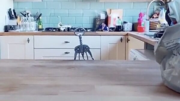 Een portie ochtendgymnastiek om je dag goed mee te beginnen!