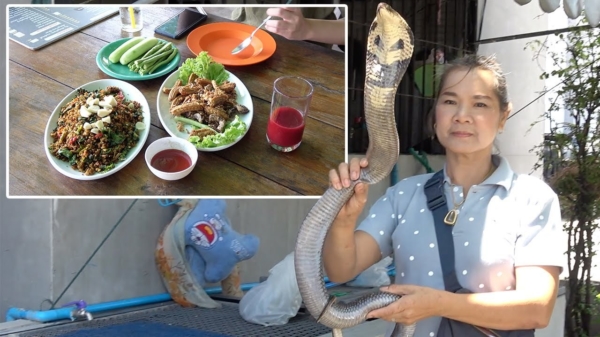 Thais restaurant heeft verse cobra als specialiteit op de kaart staan
