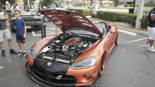 Waarom een professional inhuren als je ook met een Dodge Viper kunt snoeien?