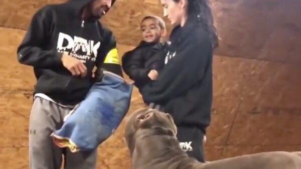 Met waakhond Fifi in je buurt gebeurt er he-le-maal niets