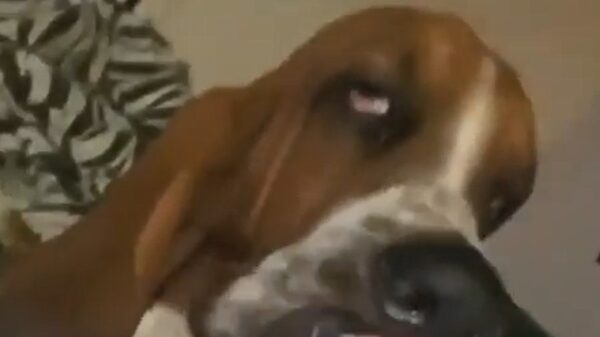 Nadorst is een biatch