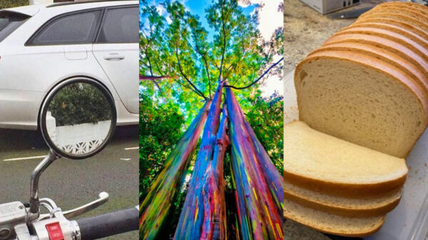 Een aantal bevredigende OCD-pics op deze bloedhete zondagmiddag