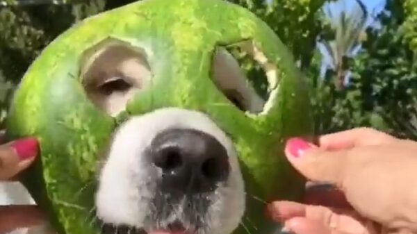 Nieuwe superheld in aantocht