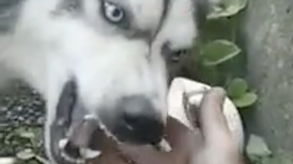 Pas op: hier waak ik